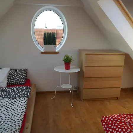 786 Albergue *