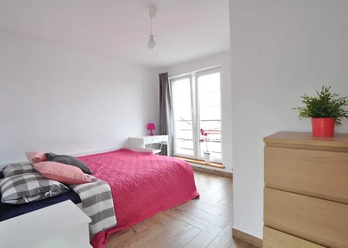 Auberge de jeunesse 786